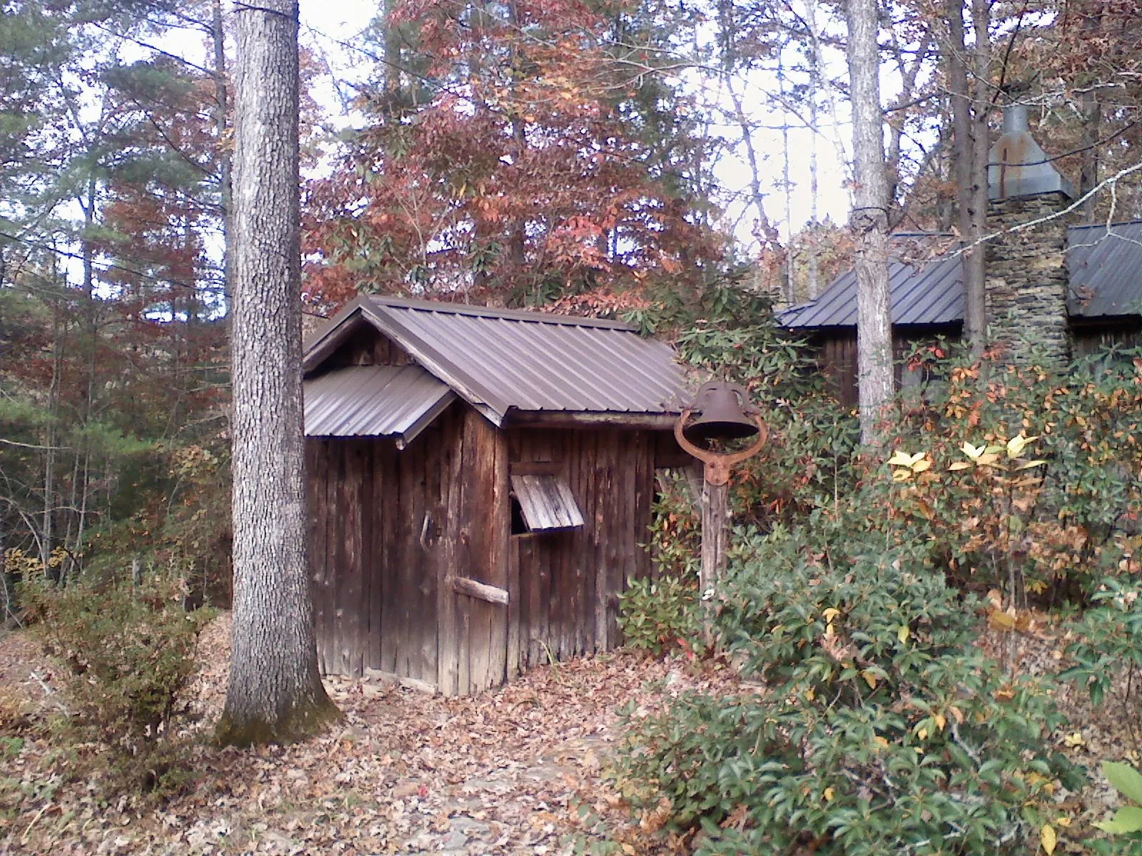 Small metal roof on a rough sawn shed in the woods in Dayton